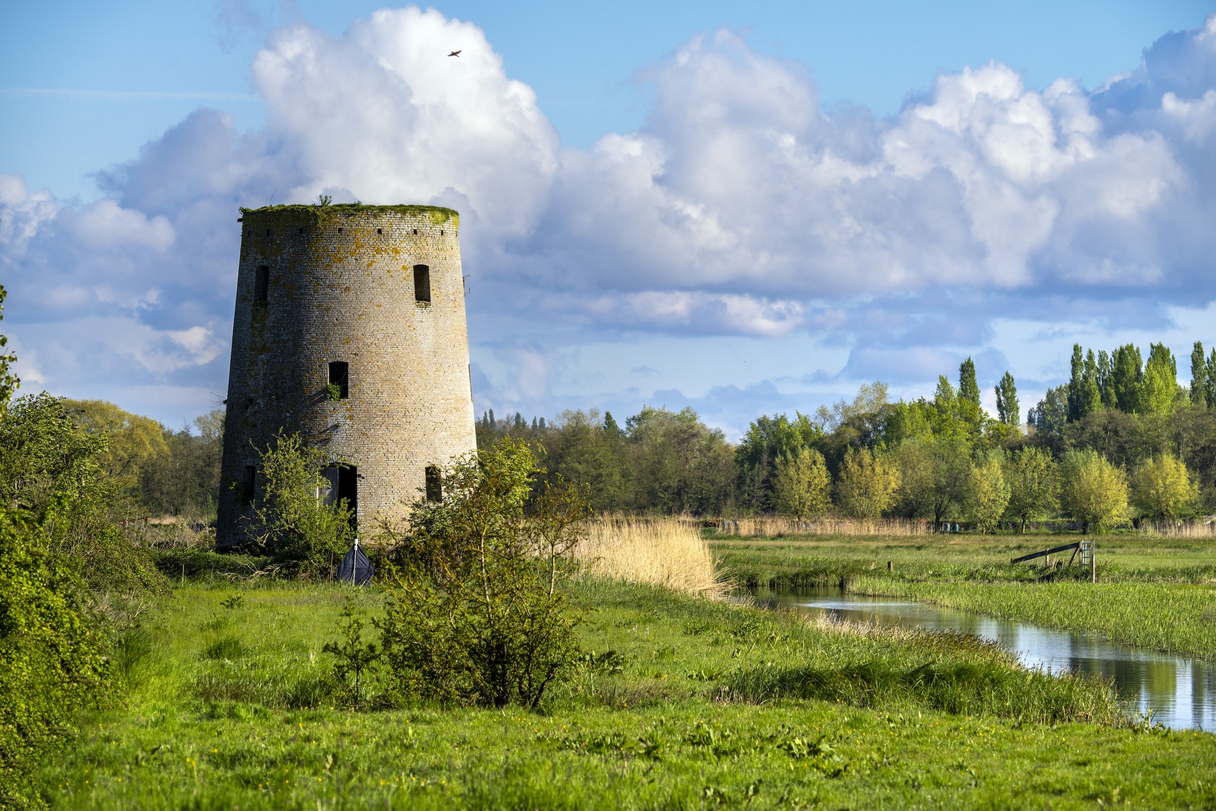 62_847_Marais_Audomarois_Zuidbrouck_F_COISY9 copie